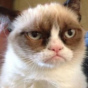 Meet your Posher, Nathan